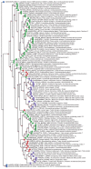 Figure 2—figure supplement 6.