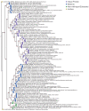 Figure 2—figure supplement 4.