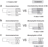 Figure 2—figure supplement 5.