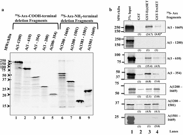 Fig. 3