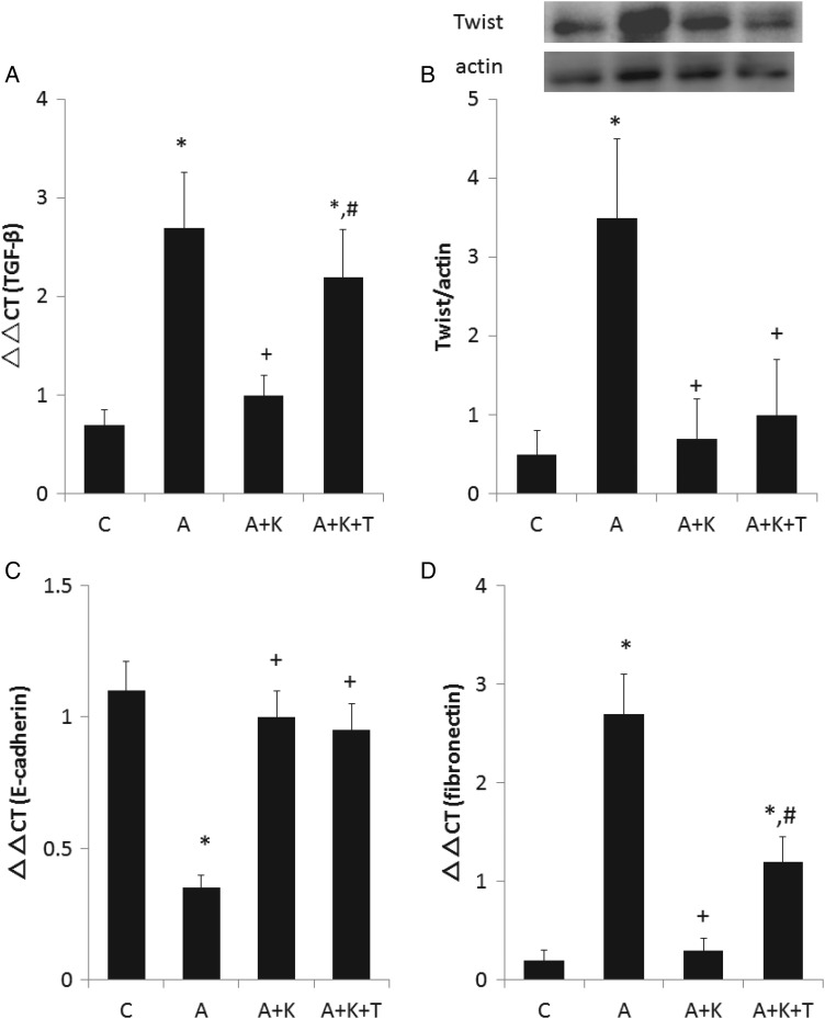 FIGURE 5