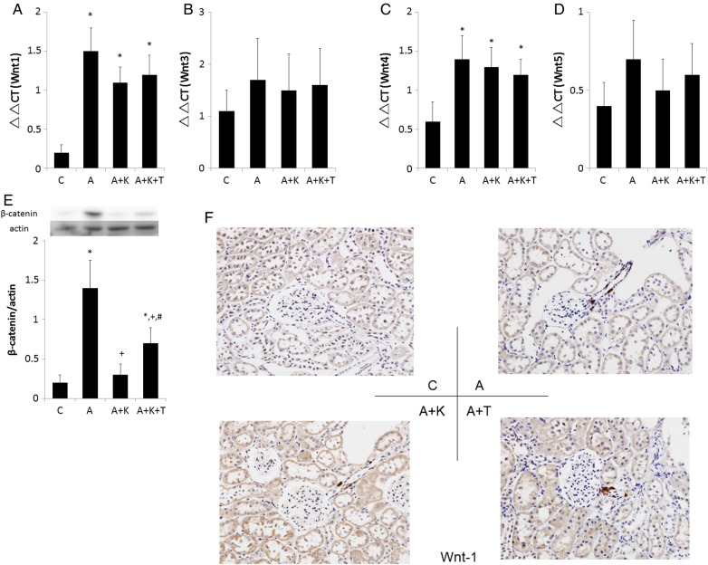 FIGURE 4