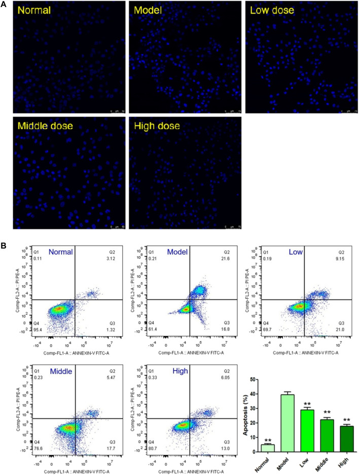 FIGURE 6