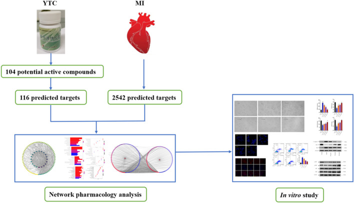 Graphical Abstract