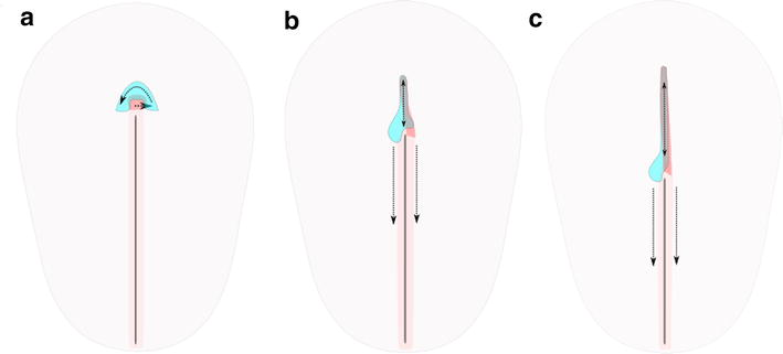 Fig. 7