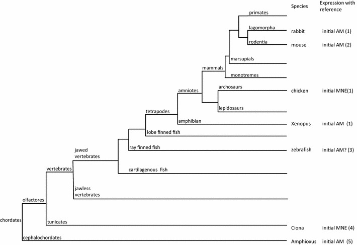 Fig. 10