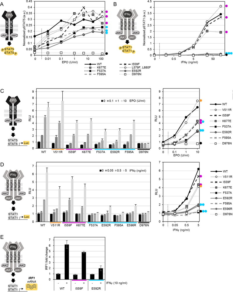 Figure 4: