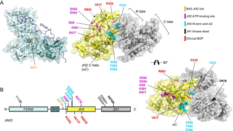 Figure 1: