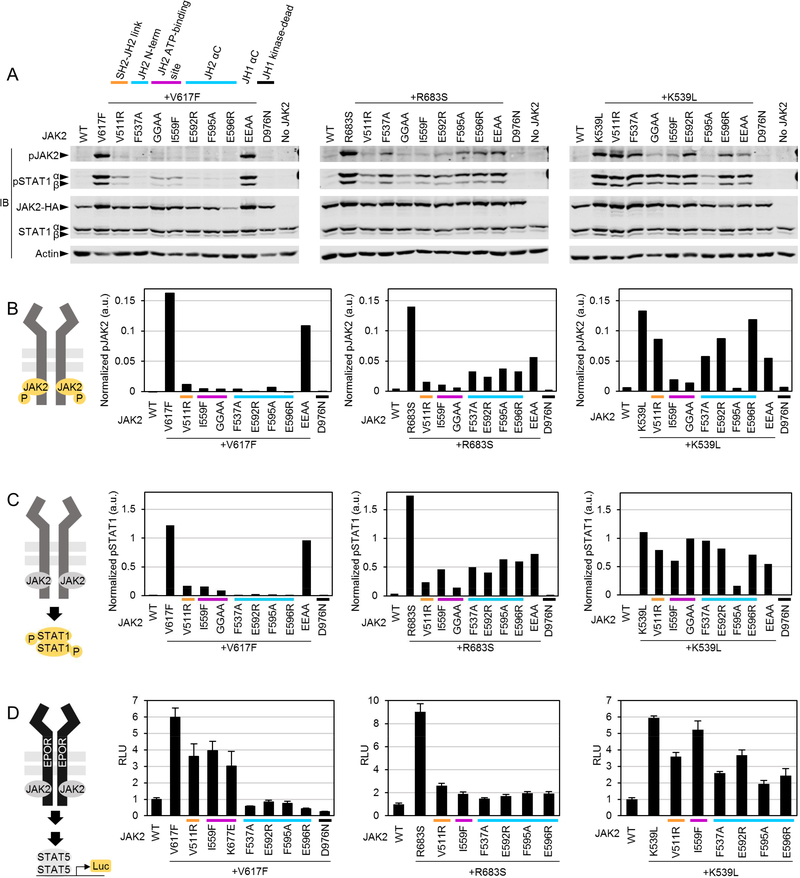 Figure 2: