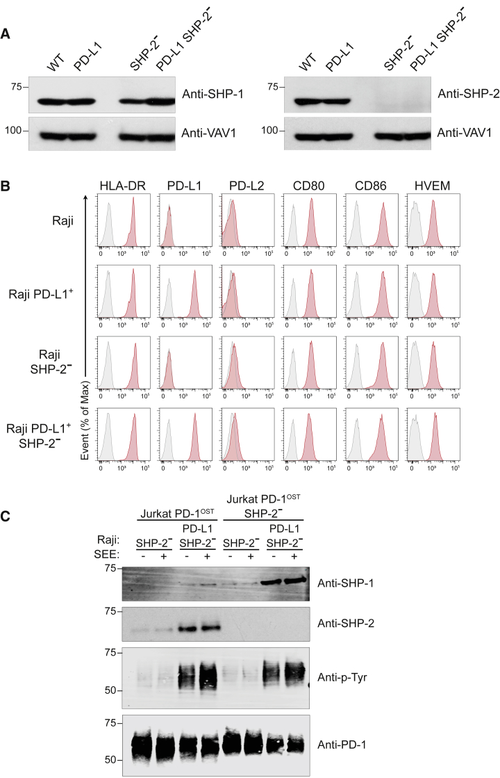 Figure 6