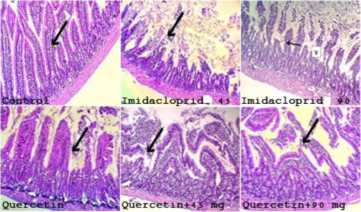 Fig. 9