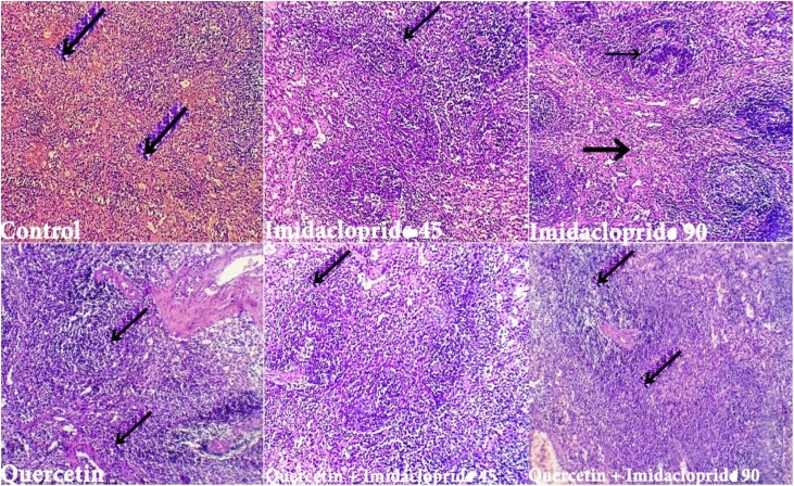 Fig. 8