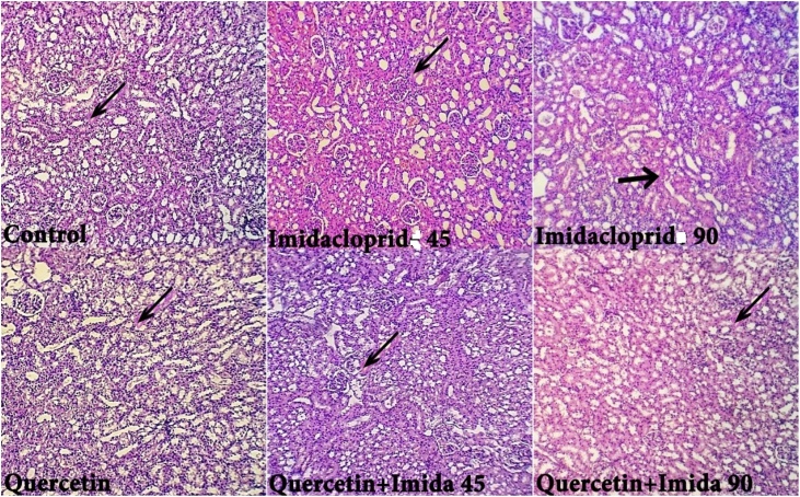 Fig. 7