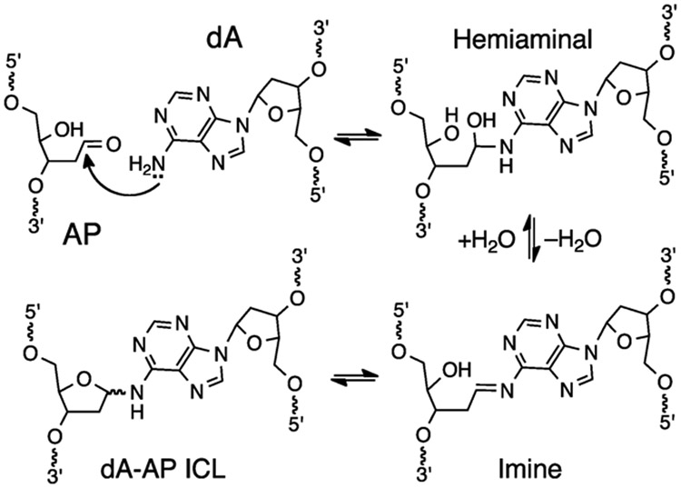 Scheme 2.