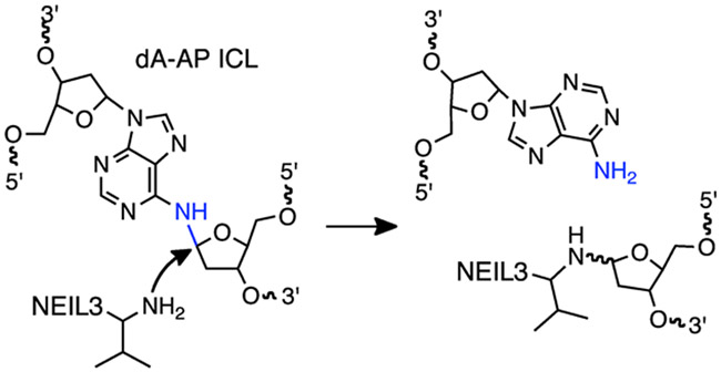 Scheme 3.