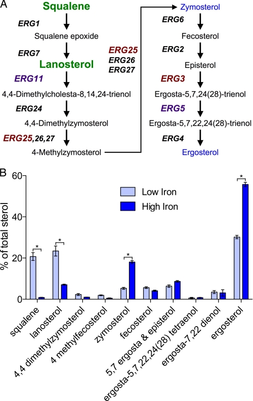 FIGURE 4.