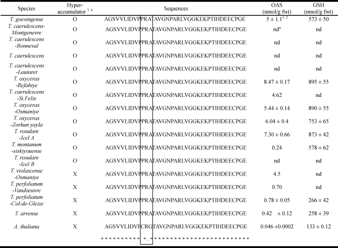 graphic file with name zbc050118592t002.jpg