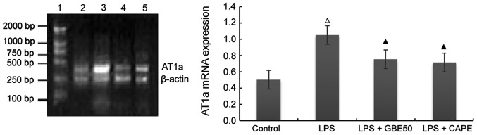 Figure 4.