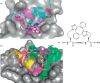 Fig. 13