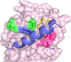 Fig. 14