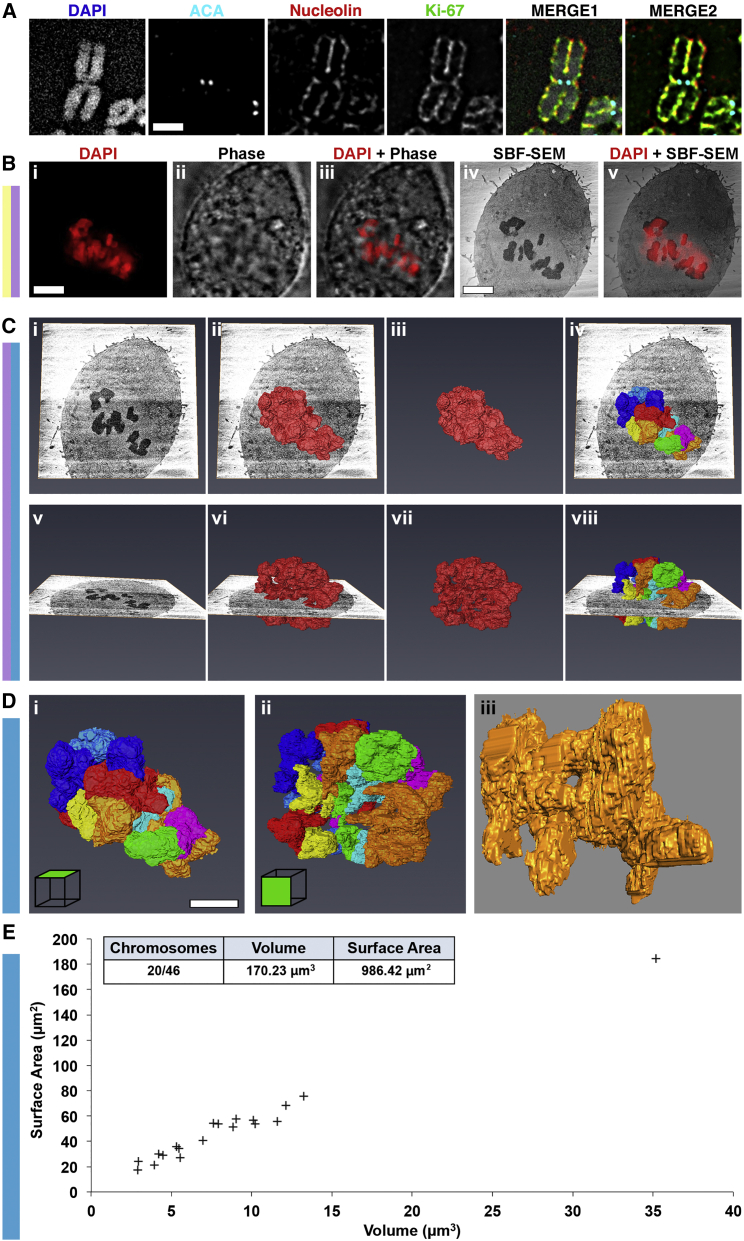 Figure 6