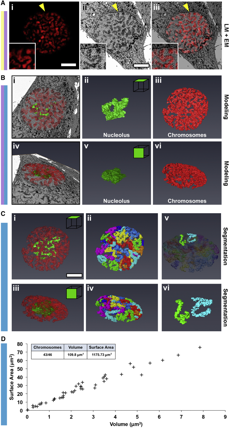 Figure 3