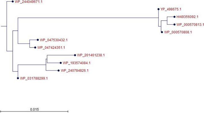 Fig. 4