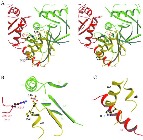 Fig 2.