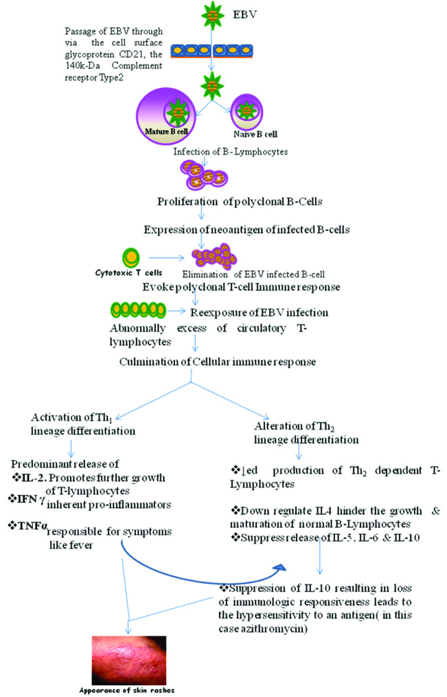 [Table/Fig-2]: