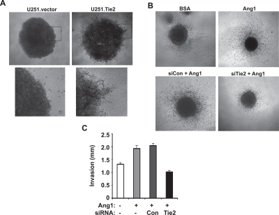 Figure 4: