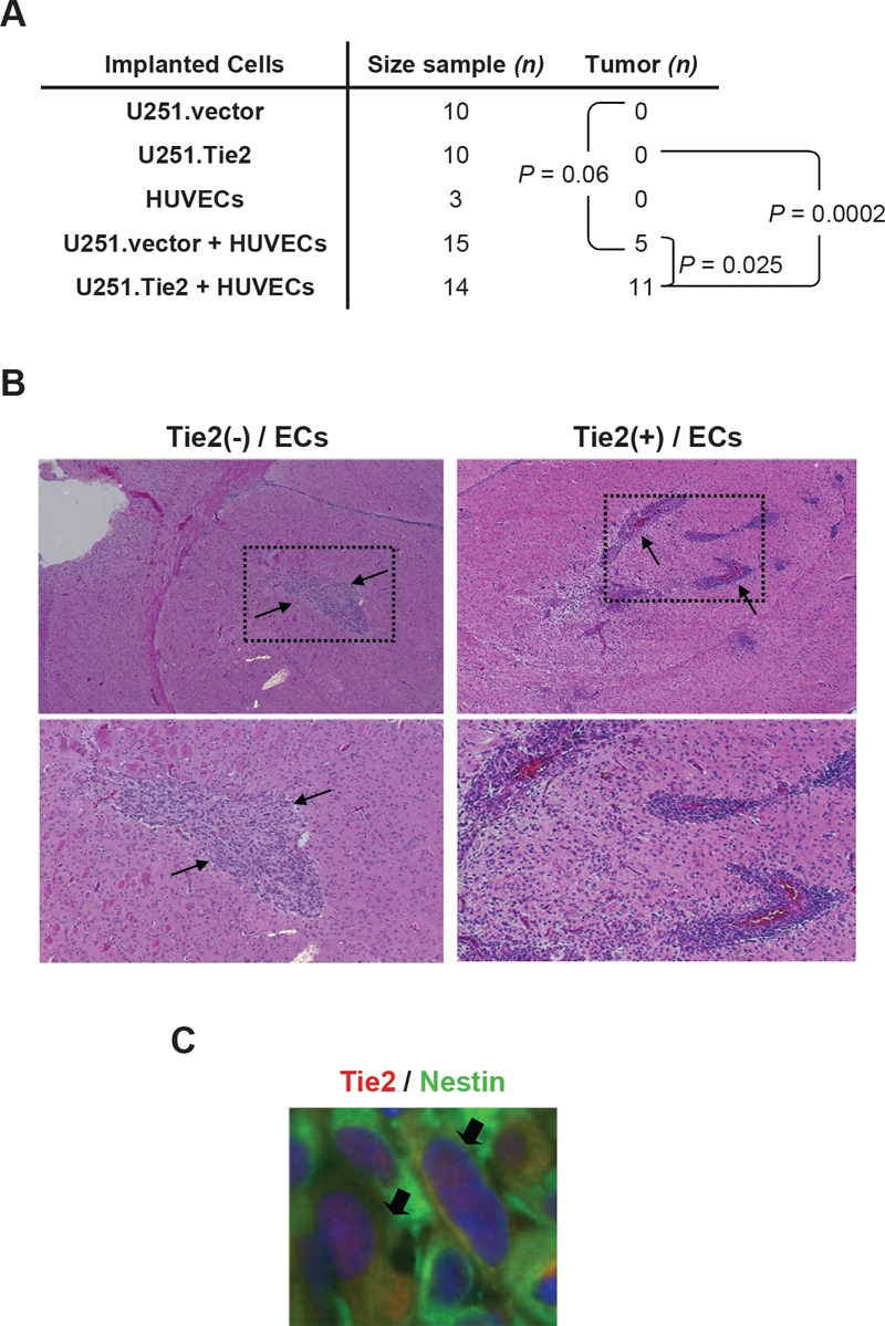 Figure 5: