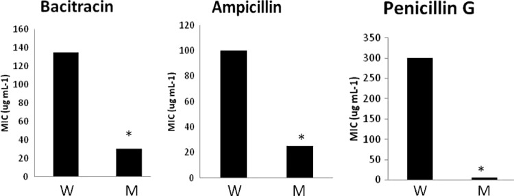 Fig 8