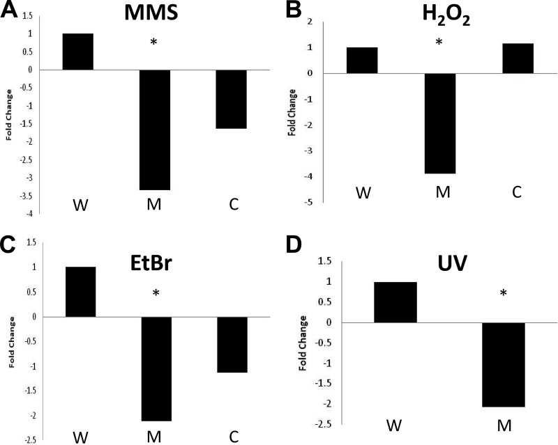 Fig 7