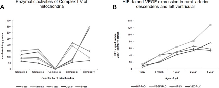 Fig 10