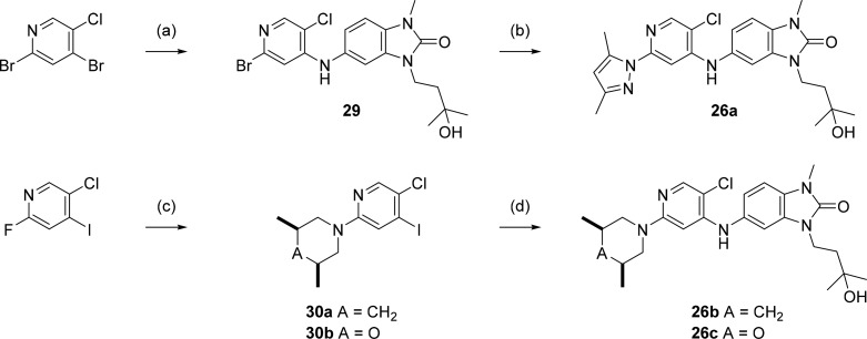 Scheme 5