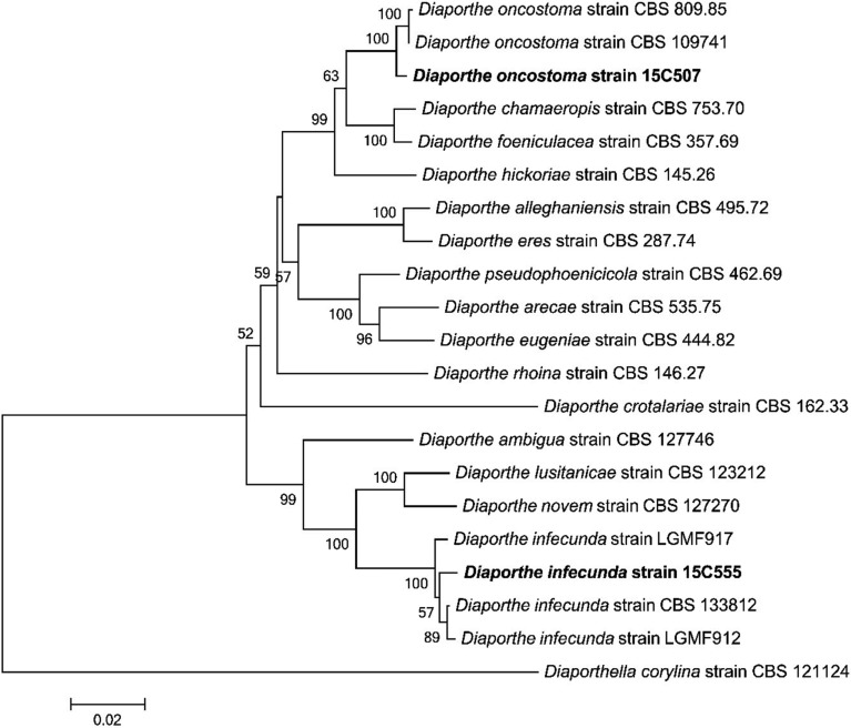 Fig. 2