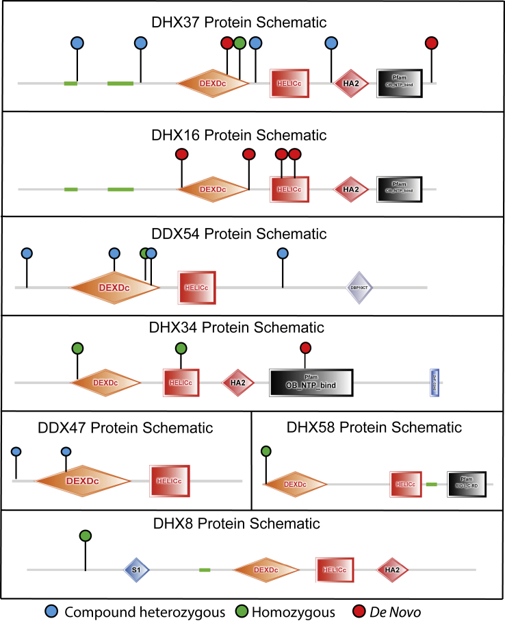 Figure 3