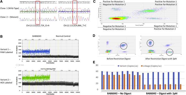 Figure 4