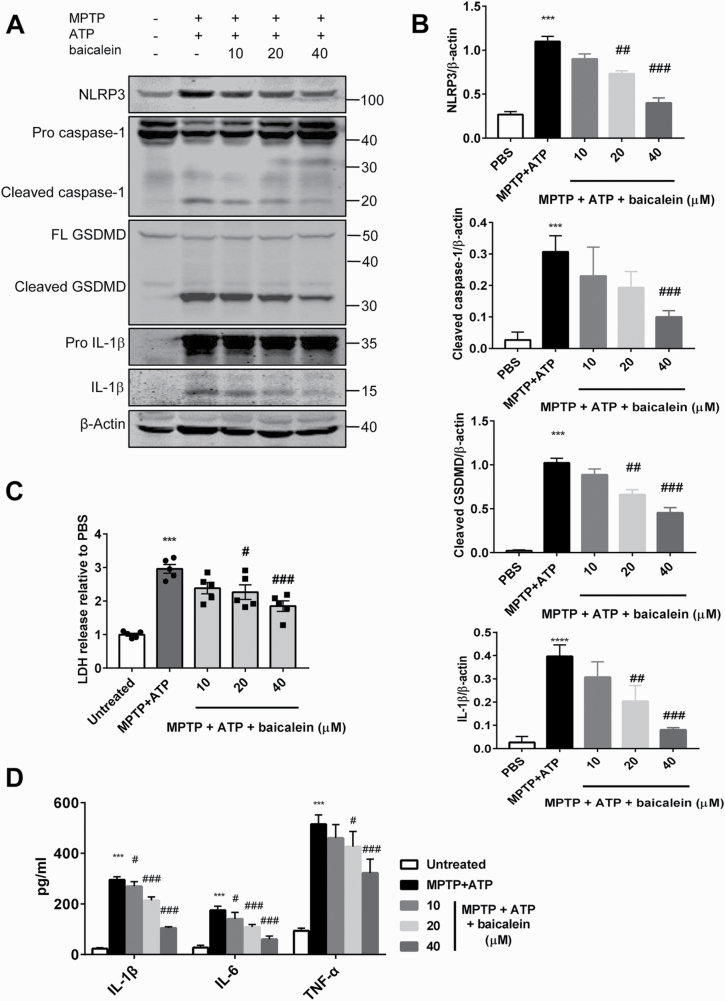 Figure 4.