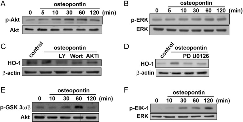 Fig. 4.