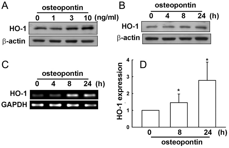 Fig. 2.