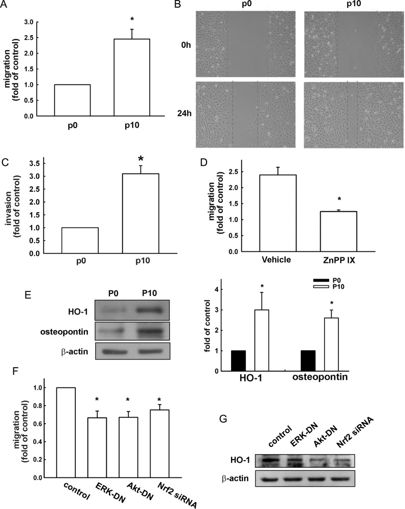 Fig. 6.