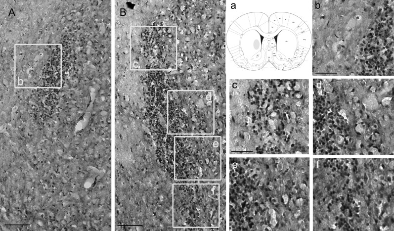 Fig. 7.