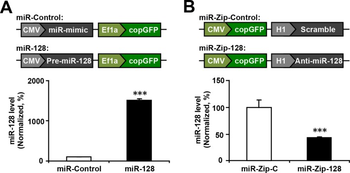 Figure 2—figure supplement 1.