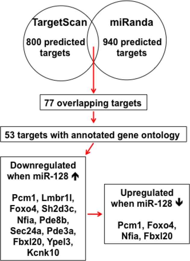 Figure 4—figure supplement 1.