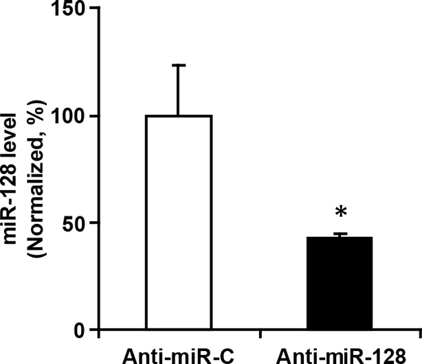 Figure 4—figure supplement 2.