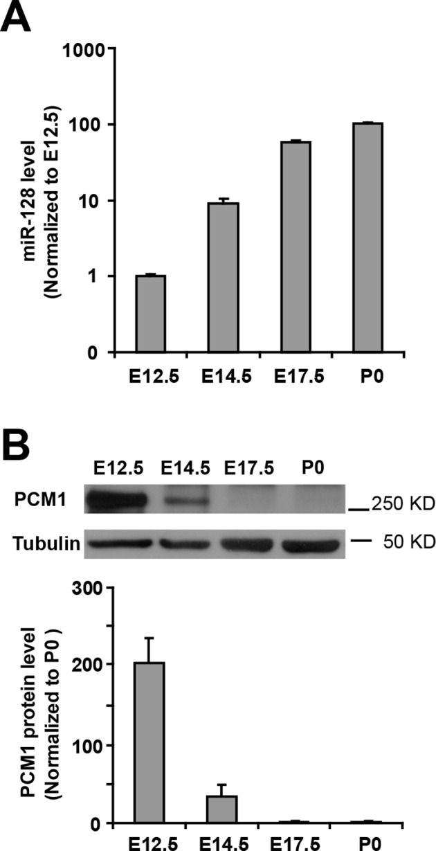 Figure 4—figure supplement 3.