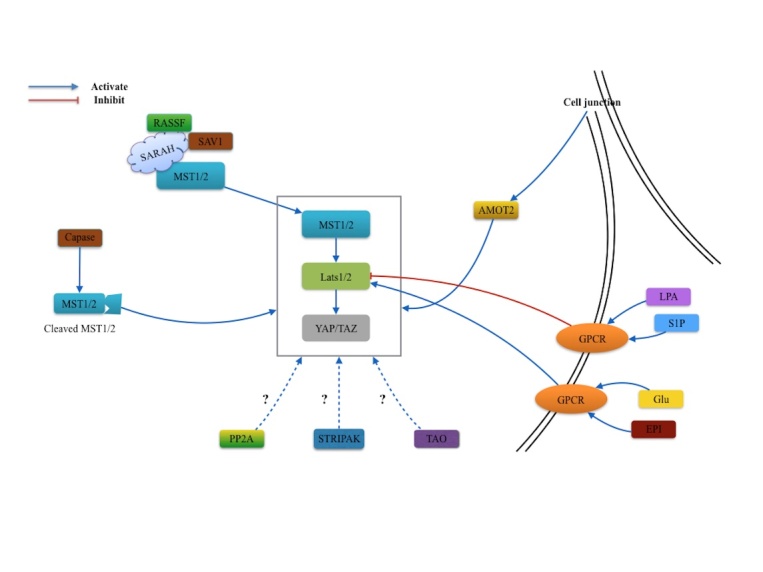 Figure 3.