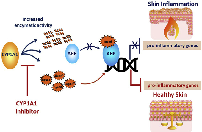 graphic file with name fx1.jpg