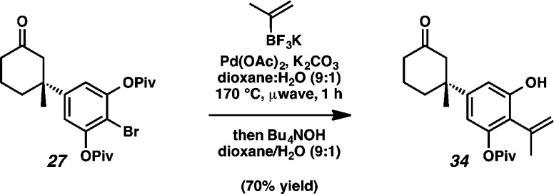 Scheme 5